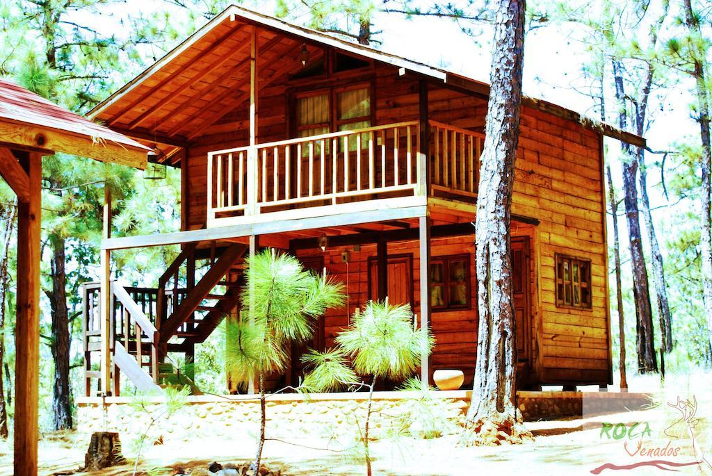 Rocavenados Villa มาสโกตา ห้อง รูปภาพ
