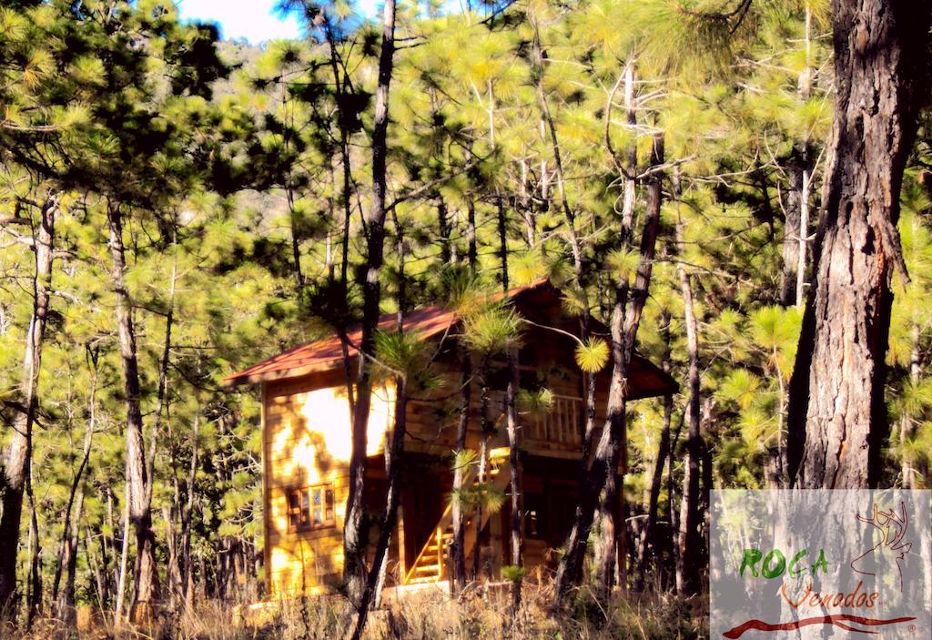 Rocavenados Villa มาสโกตา ห้อง รูปภาพ